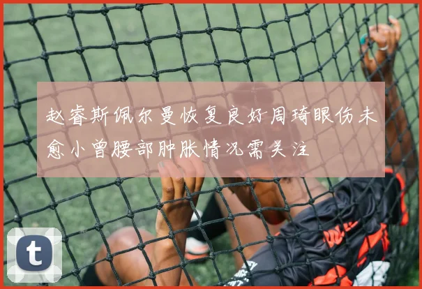 赵睿斯佩尔曼恢复良好周琦眼伤未愈小曾腰部肿胀情况需关注