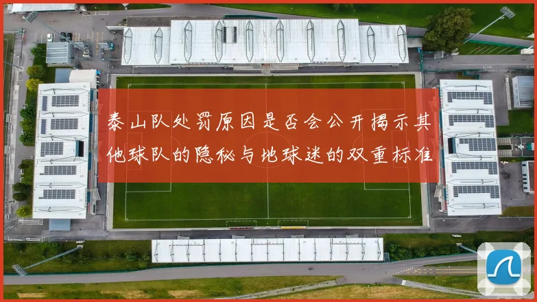 泰山队处罚原因是否会公开揭示其他球队的隐秘与地球迷的双重标准
