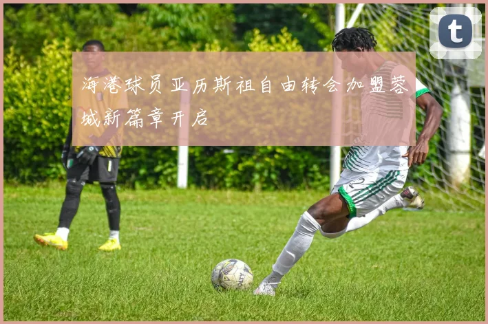 海港球员亚历斯祖自由转会加盟蓉城新篇章开启